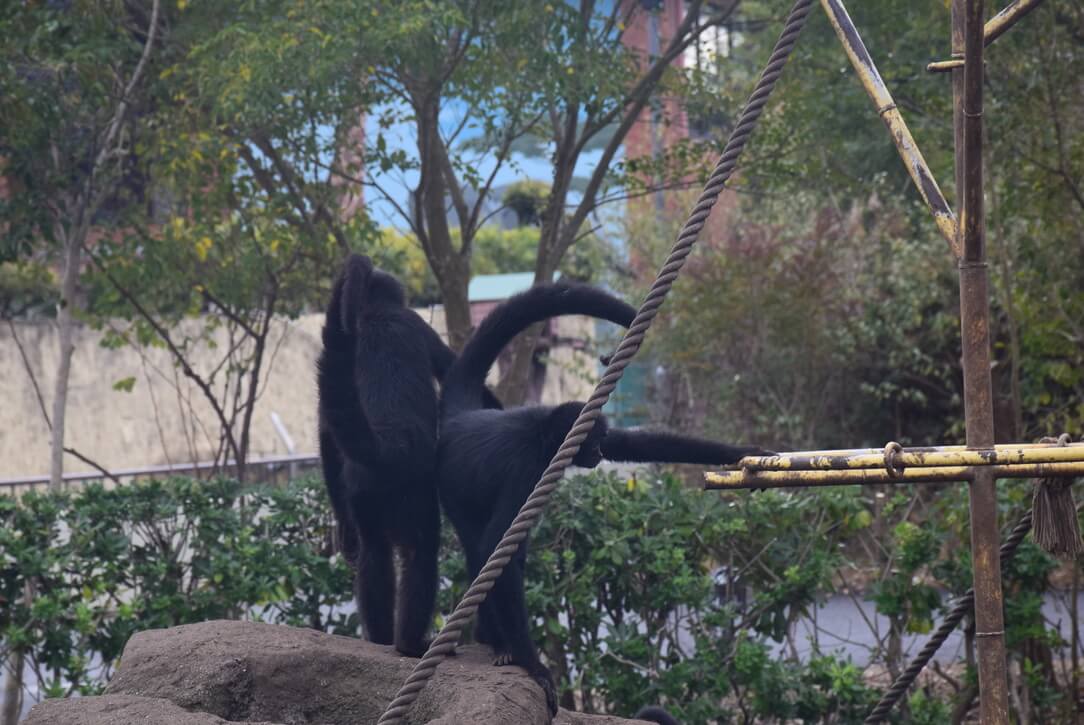 [遊記] 2024北九州九日遊-day8